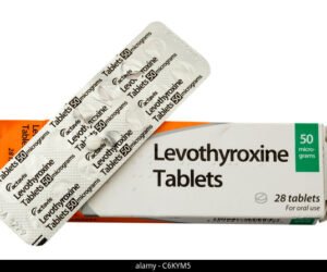 levothyroxine 50 mcg